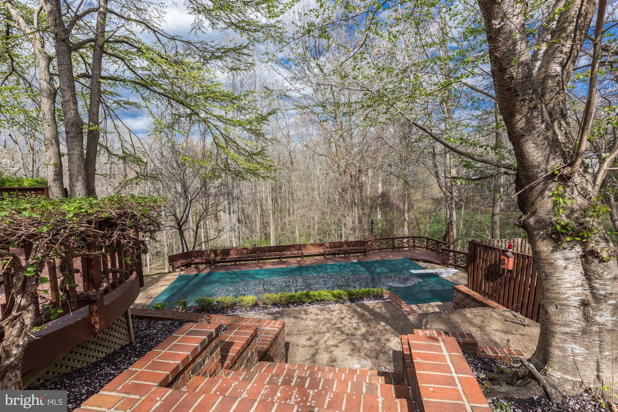 8700 Old Dominion Drive McLean, VA 22102 - Photo 25 of 27