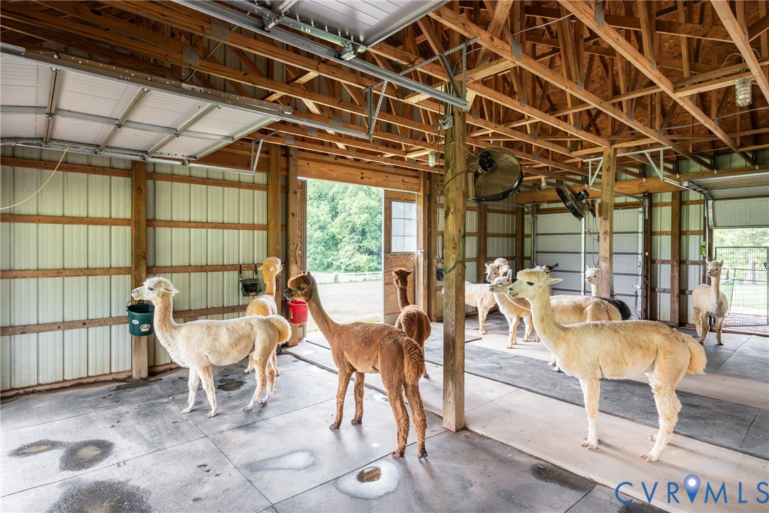 768 Hardtimes Road Farmville, VA 23901 - Photo 44 of 56 Spacious barn interior shows space for alpacas and