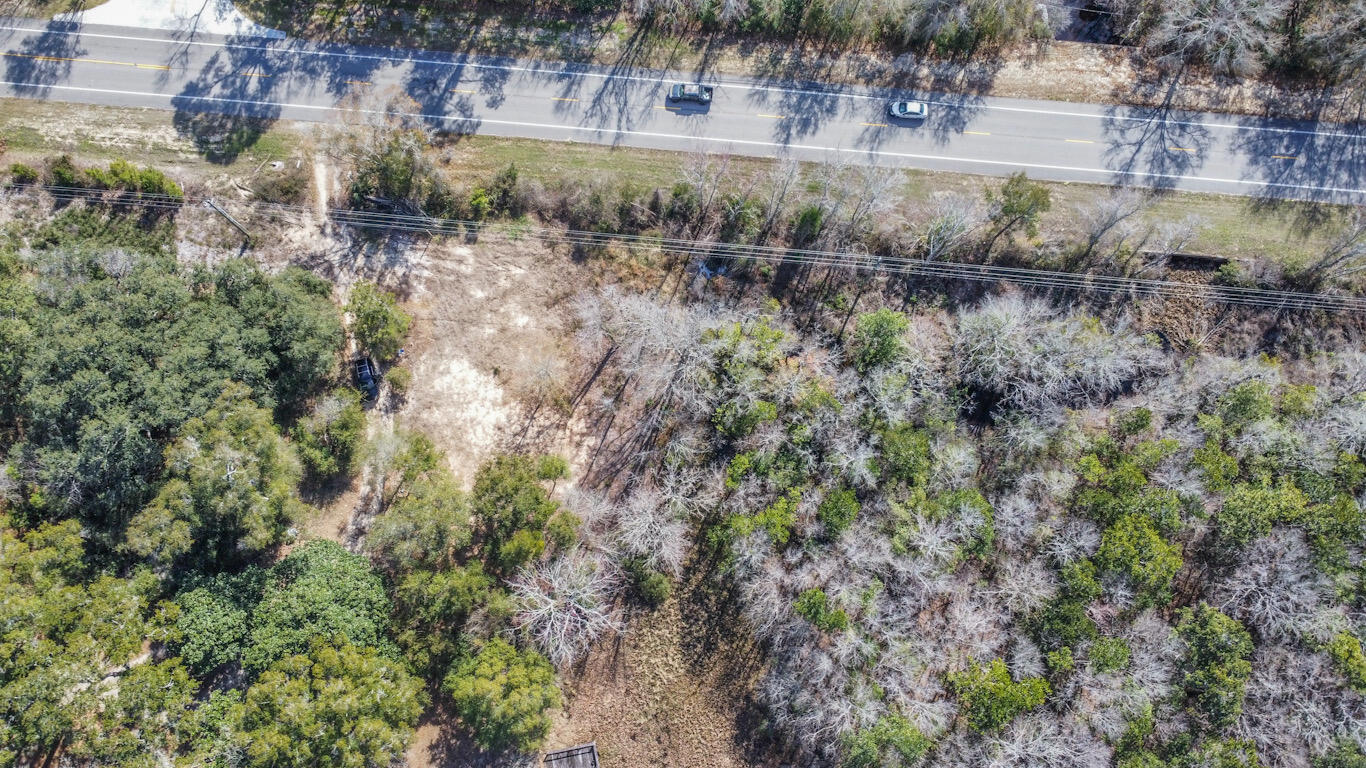 0 East Fl-20 Freeport, FL 32439 - Photo 3 of 7 a view of a yard with a tree