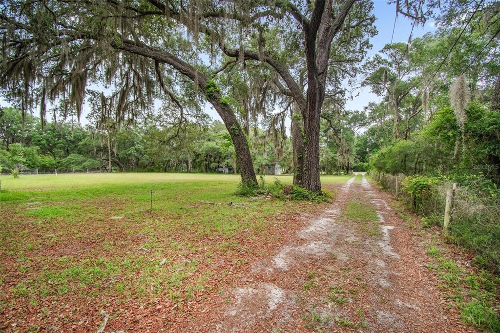 156 Kingfish Road Pomona Park, FL 32181 - Photo 10 of 55 a view of outdoor space with deck and yard