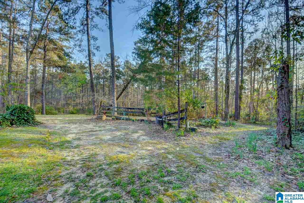 1351 Hinkle Road Clanton, AL 35045 - Photo 32 of 36
