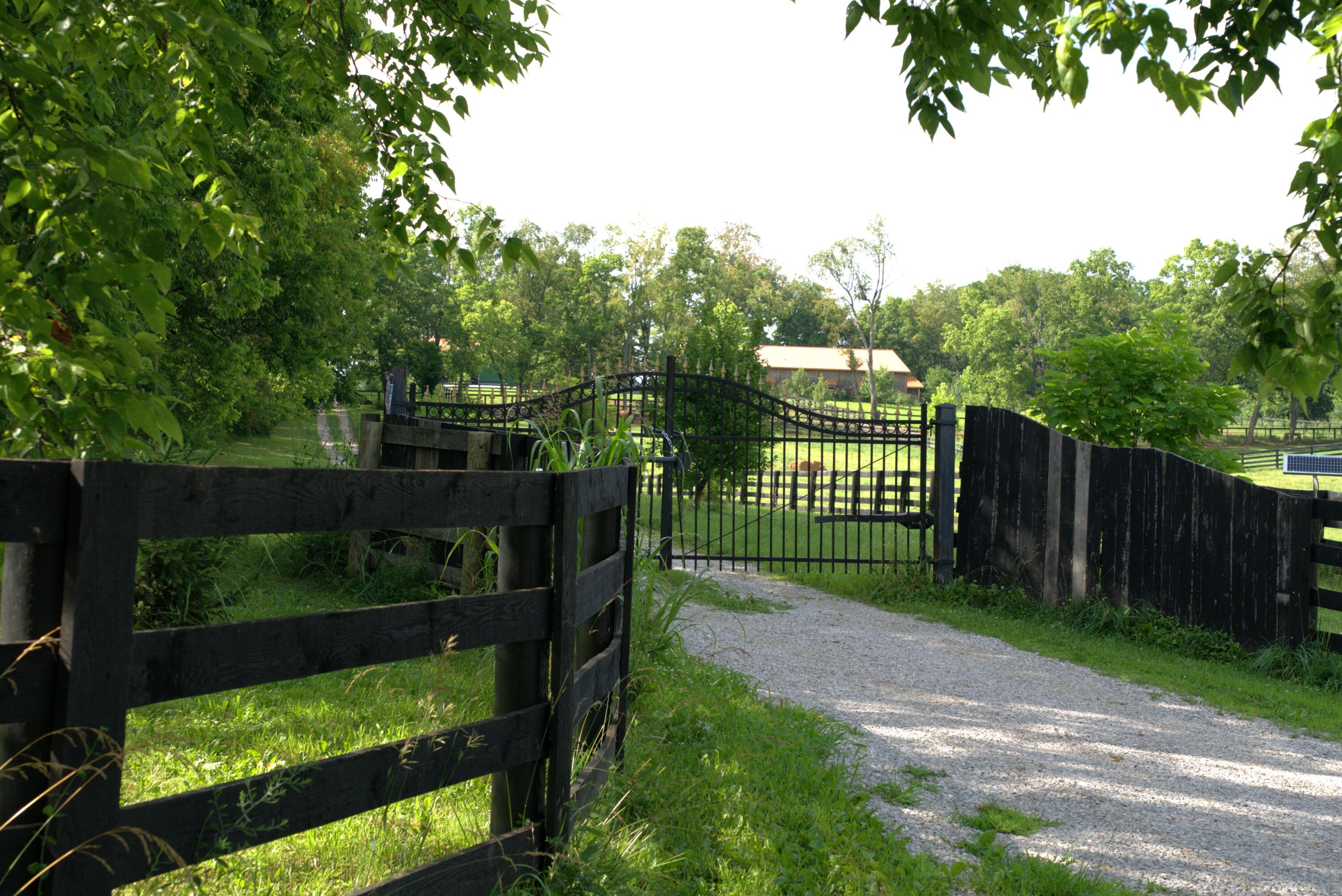401 Cane Ridge Road Paris, KY 40361 - Photo 11 of 29 _JGB7414