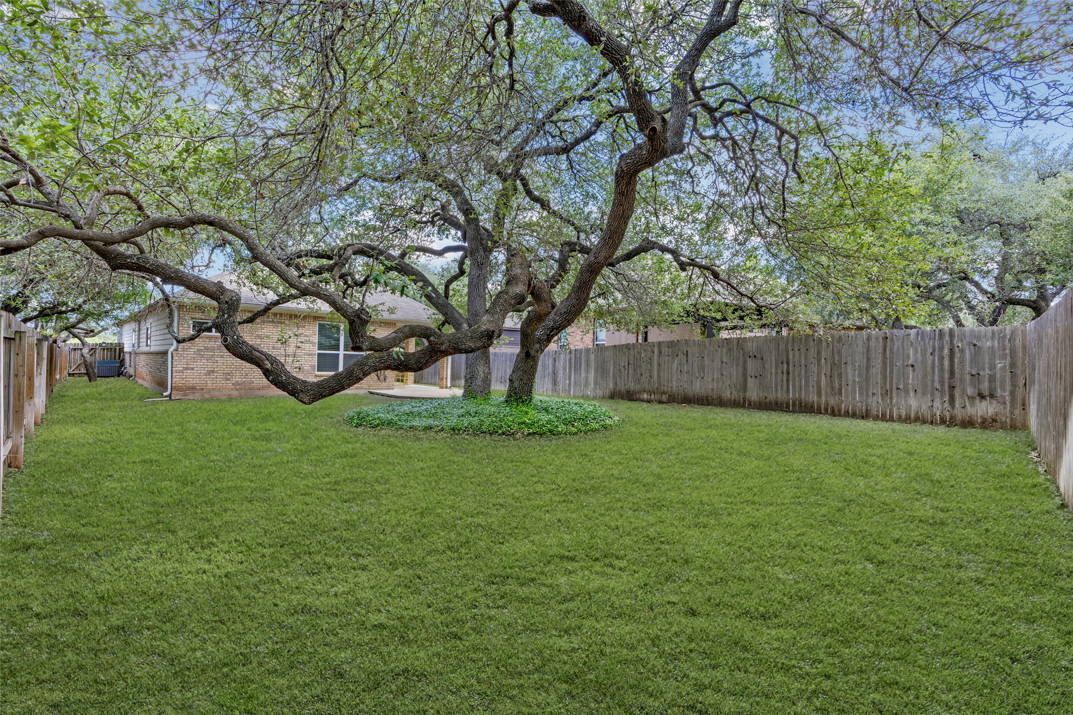 3451 Mayfield Ranch Boulevard, Unit 201 Round Rock, TX 78681 - Photo 24 of 29 a view of a backyard with tree s