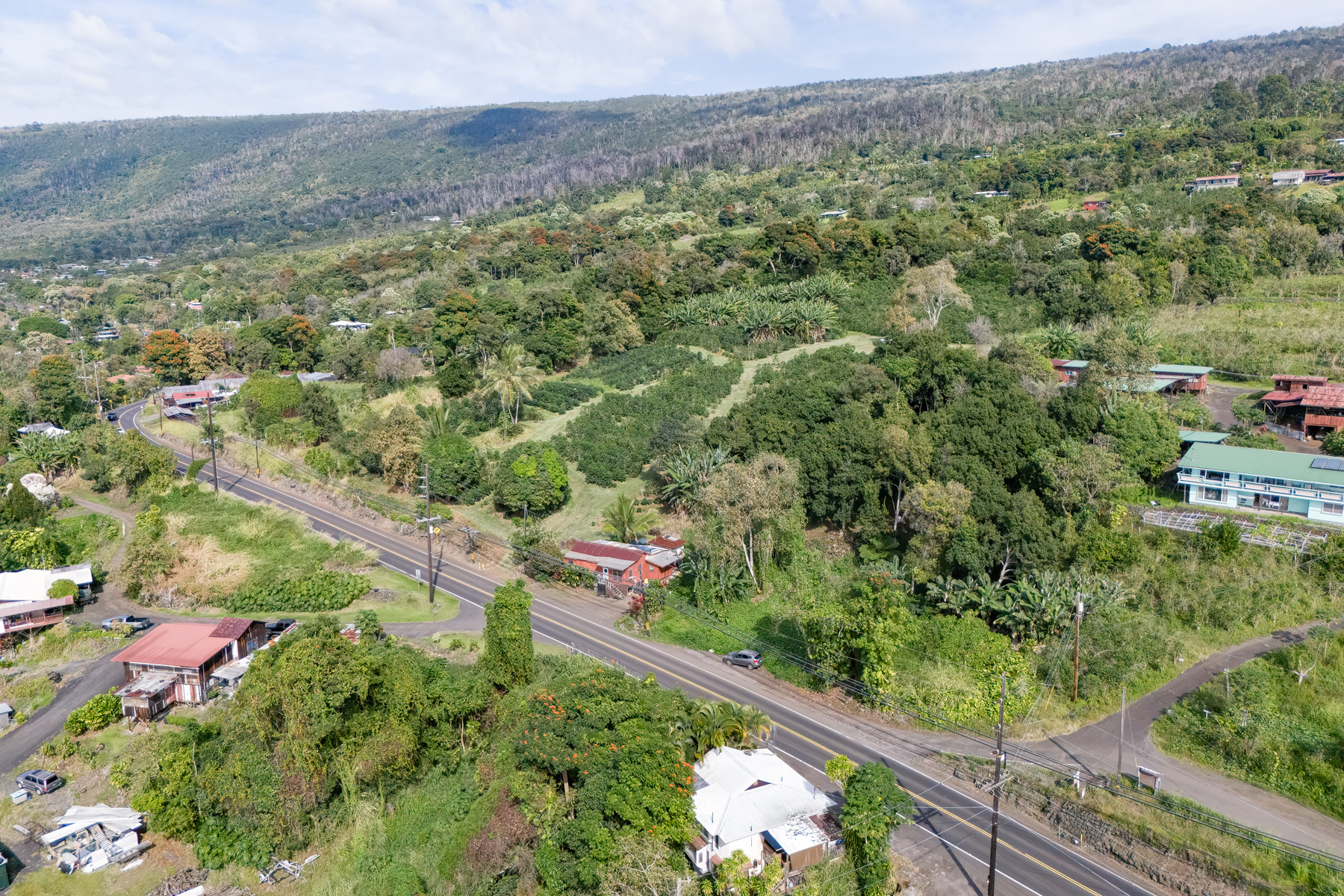 84-5125 Hawaiʻi Belt Road Captain Cook, HI 96704 - Photo 25 of 27 an aerial view of forest