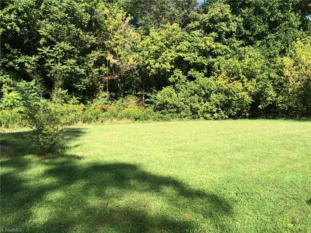202 Lineback Road Mount Airy, NC 27030 - Photo 14 of 20 Gallery Image 14