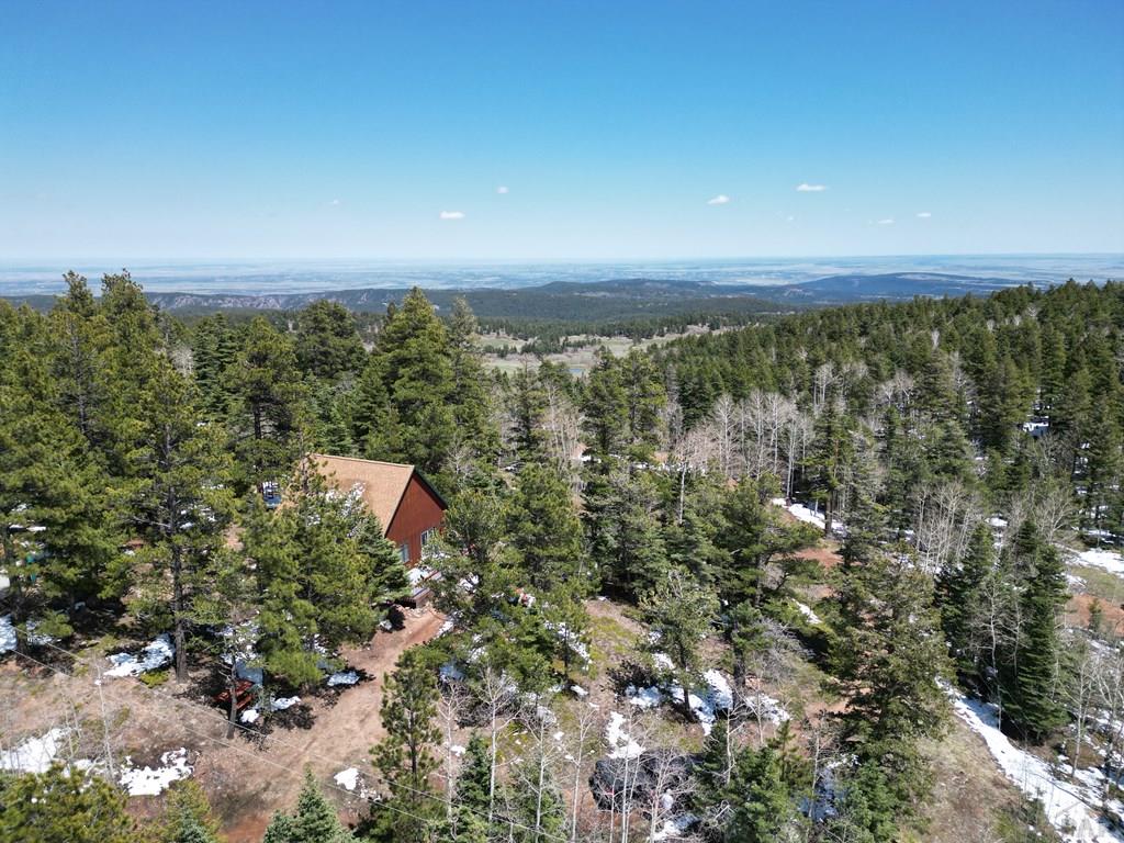 9783 Highway 165 Rye, CO 81069 - Photo 41 of 52 Gallery Image 41