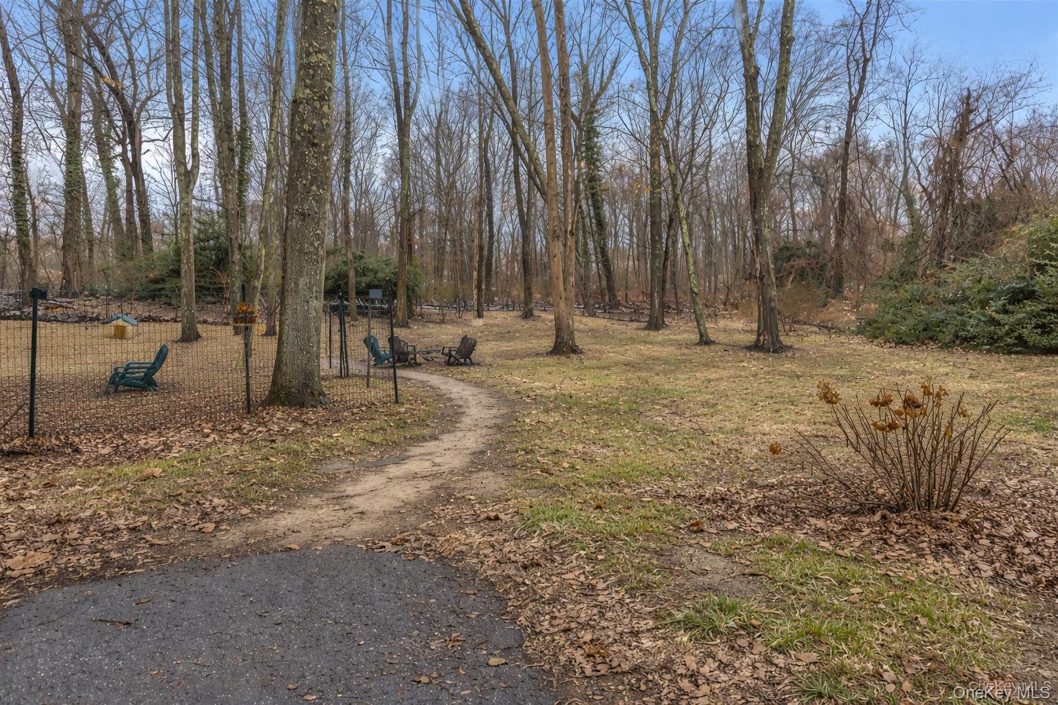 72 Daly Road East Northport, NY 11731 - Photo 18 of 18 a view of a yard with trees