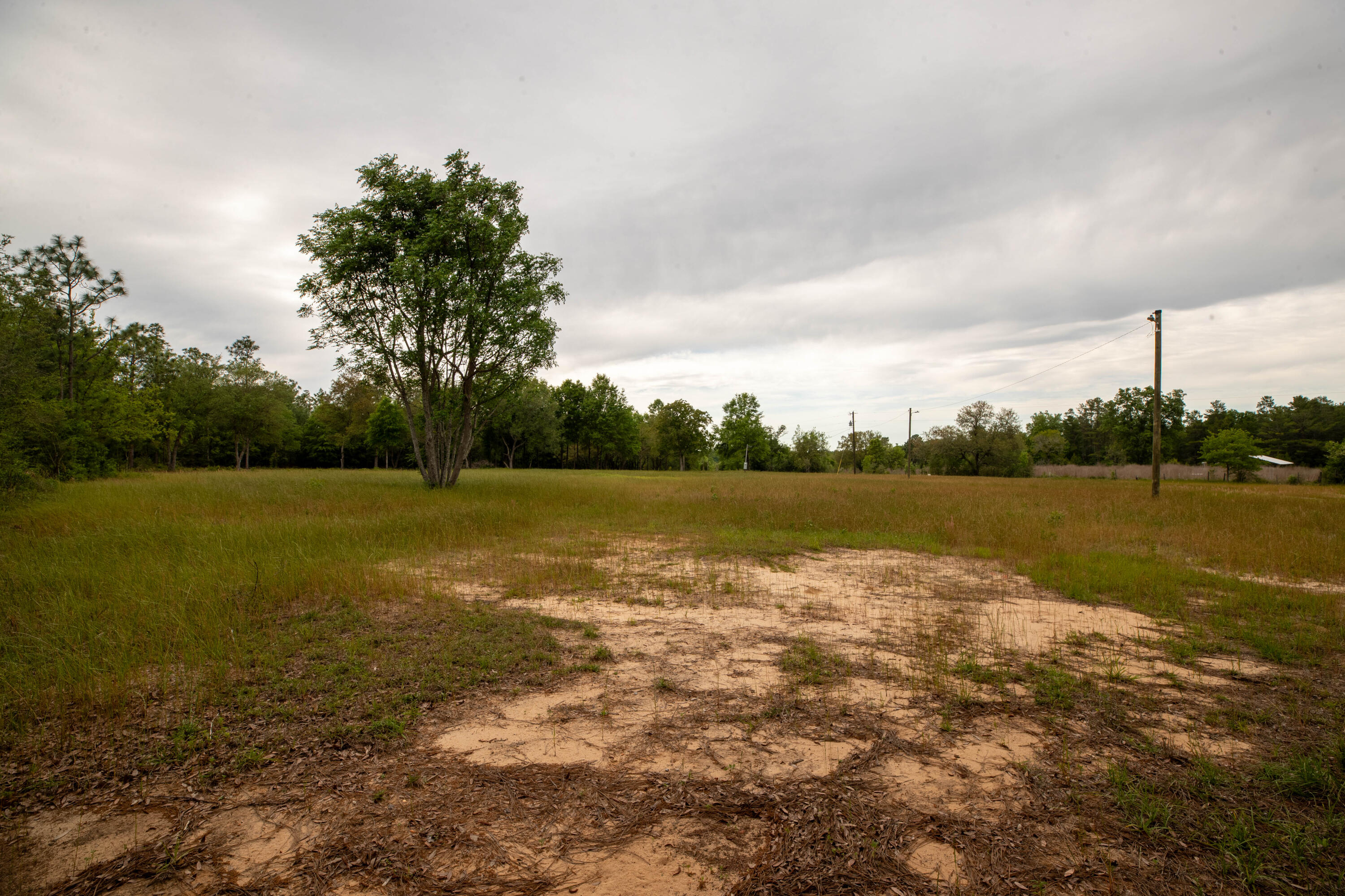 150 Janice Lane Crestview, FL 32539 - Photo 12 of 16 MKM_7474-HDR