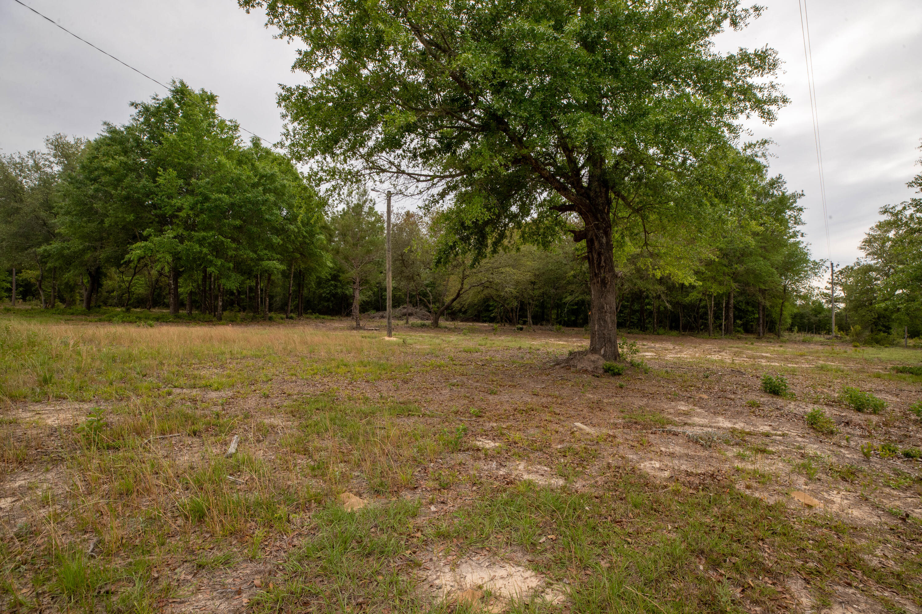150 Janice Lane Crestview, FL 32539 - Photo 14 of 16 MKM_7486-HDR