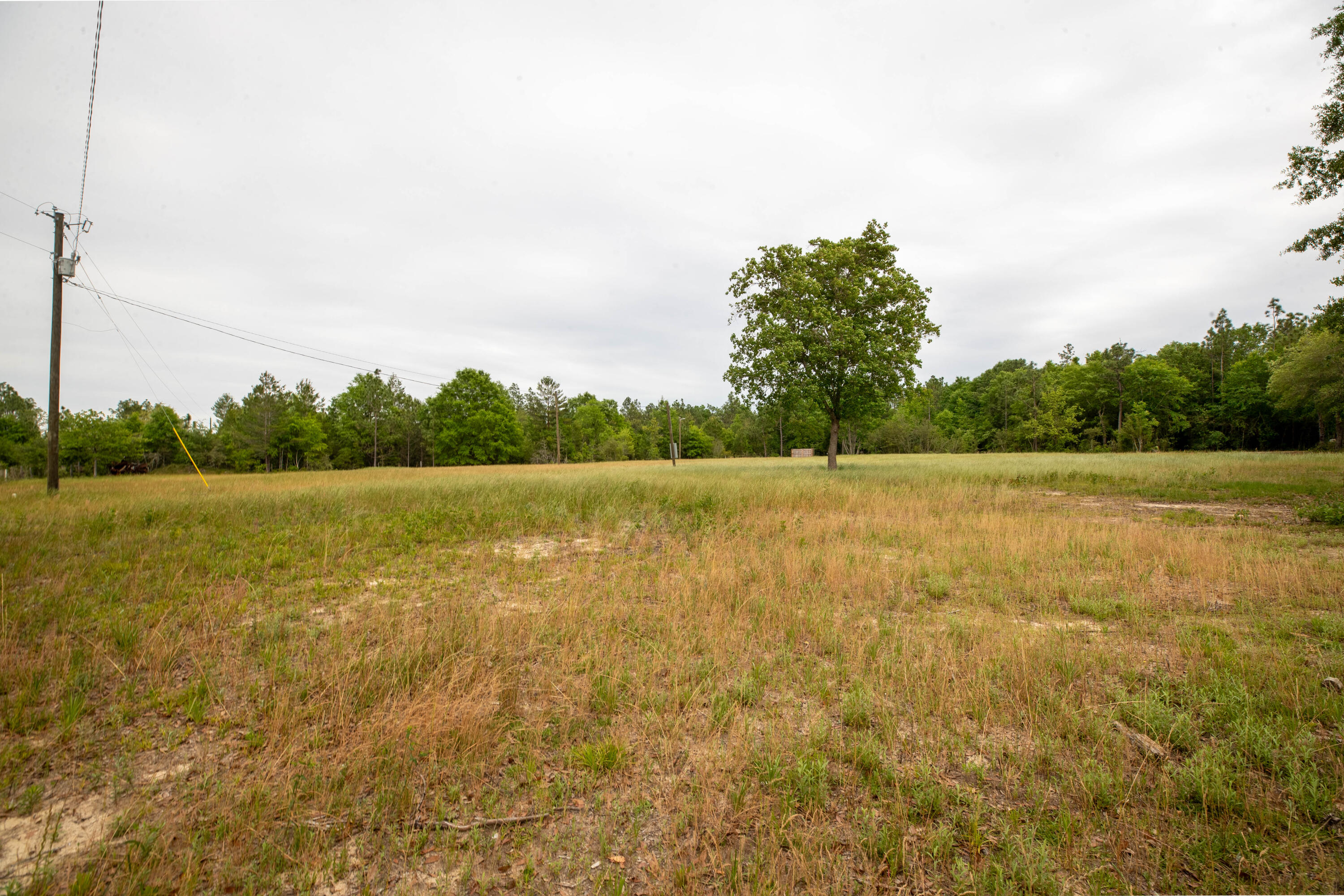 150 Janice Lane Crestview, FL 32539 - Photo 15 of 16 MKM_7489-HDR