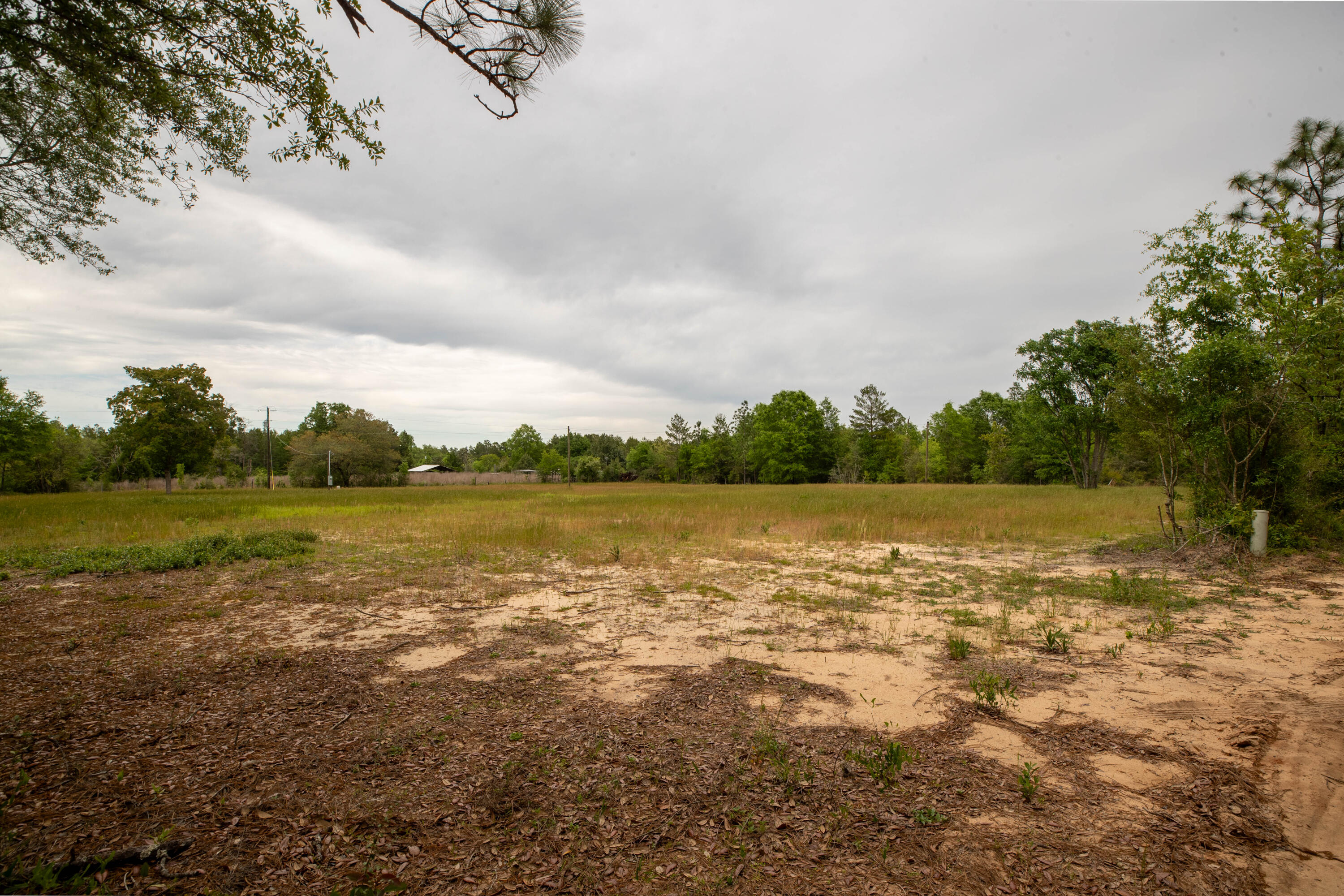 150 Janice Lane Crestview, FL 32539 - Photo 16 of 16 MKM_7492-HDR