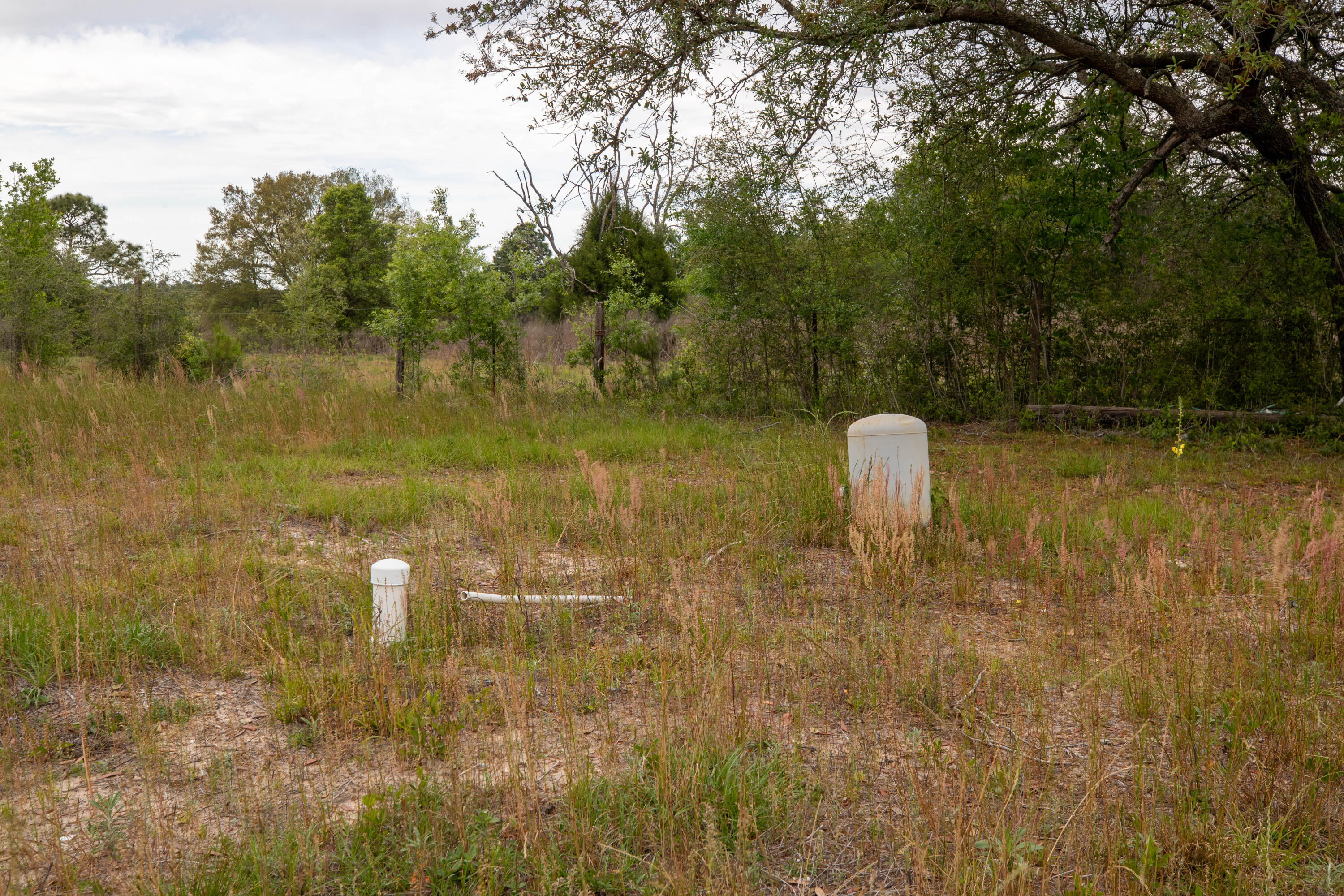 150 Janice Lane Crestview, FL 32539 - Photo 5 of 16 MKM_7480-HDR