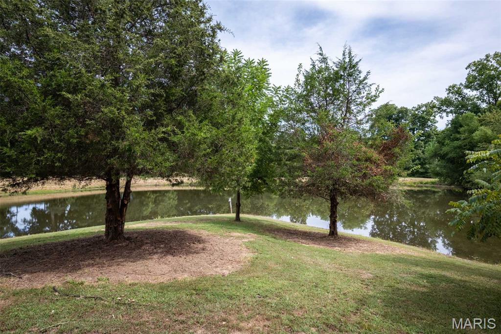 1385 Christian Chapel Road Anna, IL 62906 - Photo 47 of 83