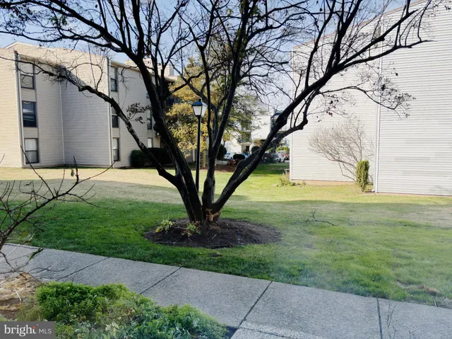 a view of a backyard with large trees