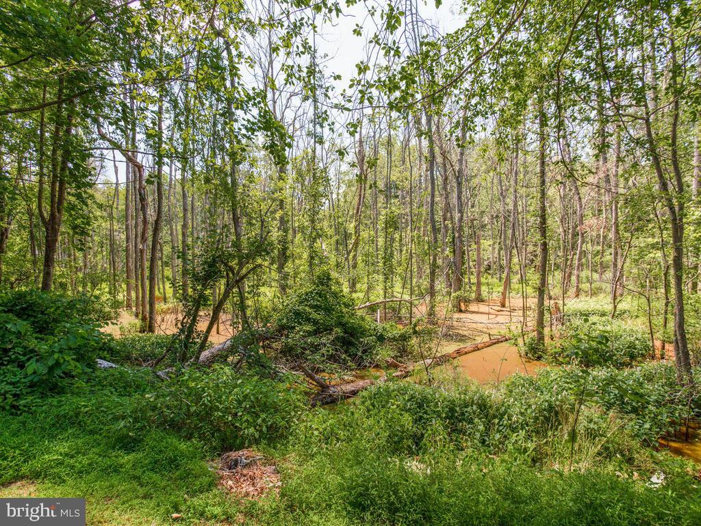 5040 Hardesty Road Sunderland, MD 20689 - Photo 41 of 44 Back of lot