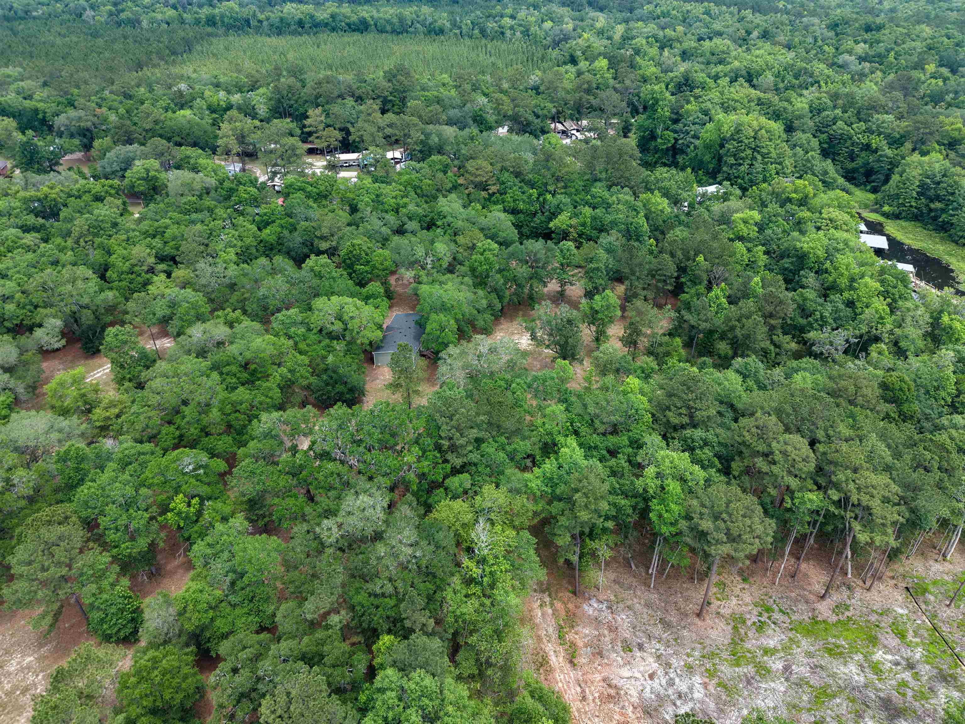 4013 McCall Bridge Road Quincy, FL 32351 - Photo 35 of 37