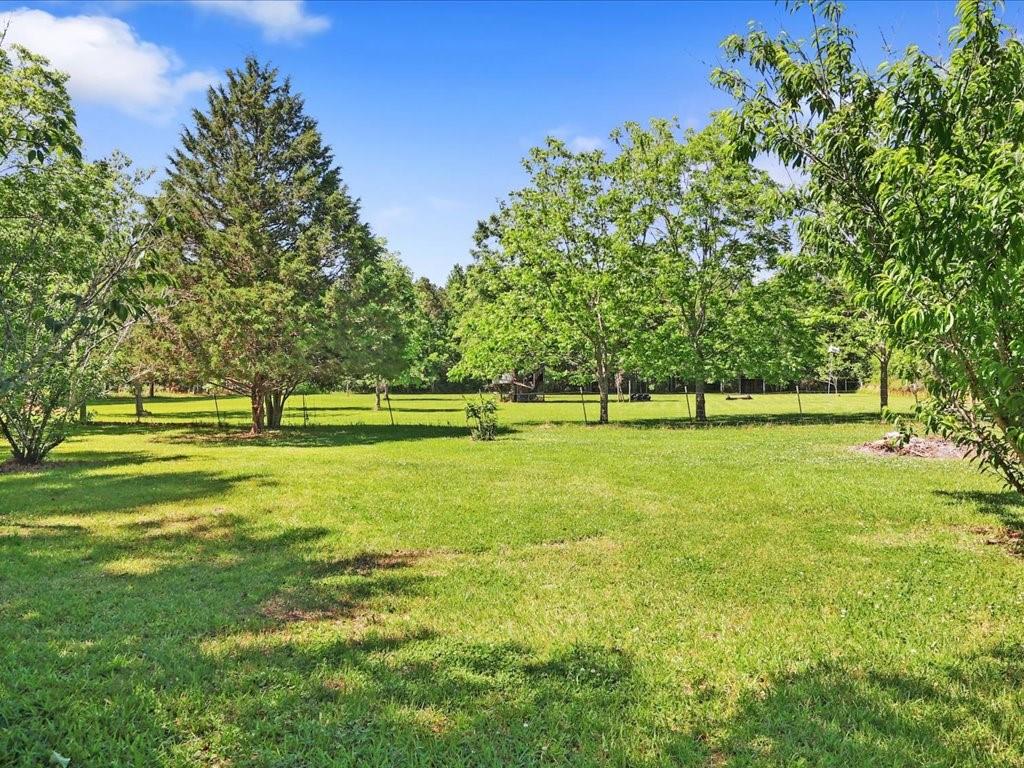 13053 Joiner Road Folsom, LA 70437 - Photo 3 of 19 Gallery Image 3