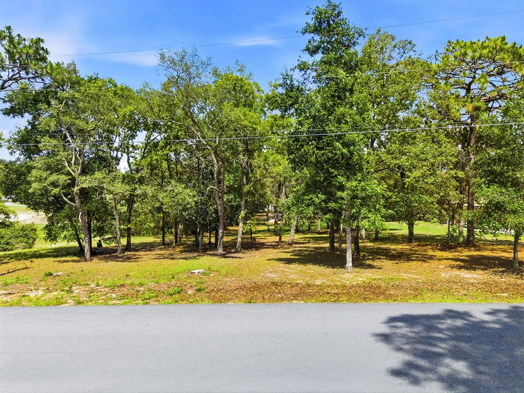 1228 Staten Avenue Spring Hill, FL 34609 - Photo 4 of 12