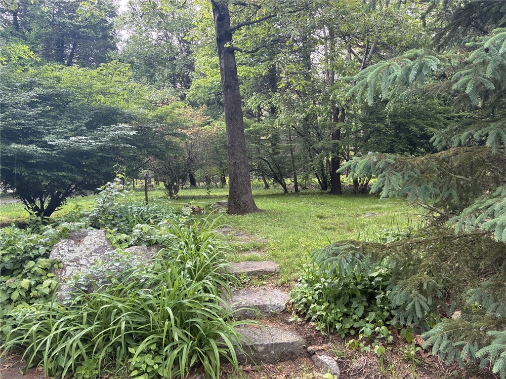 429 Howland Road East Greenwich, RI 02818 - Photo 15 of 33 Private lot with over an acre with lots trees.