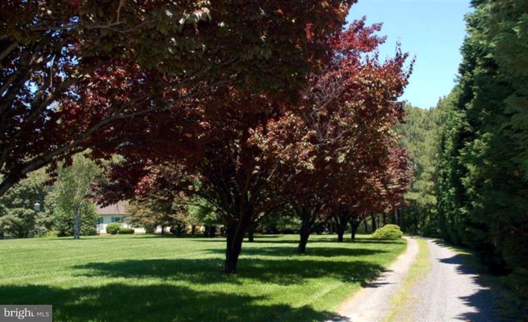 27760 Cedar Point Road Easton, MD 21601 - Photo 5 of 28 Exterior #5