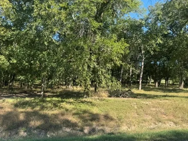 a view of outdoor space with trees