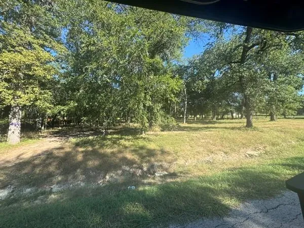 a view of a yard with a tree