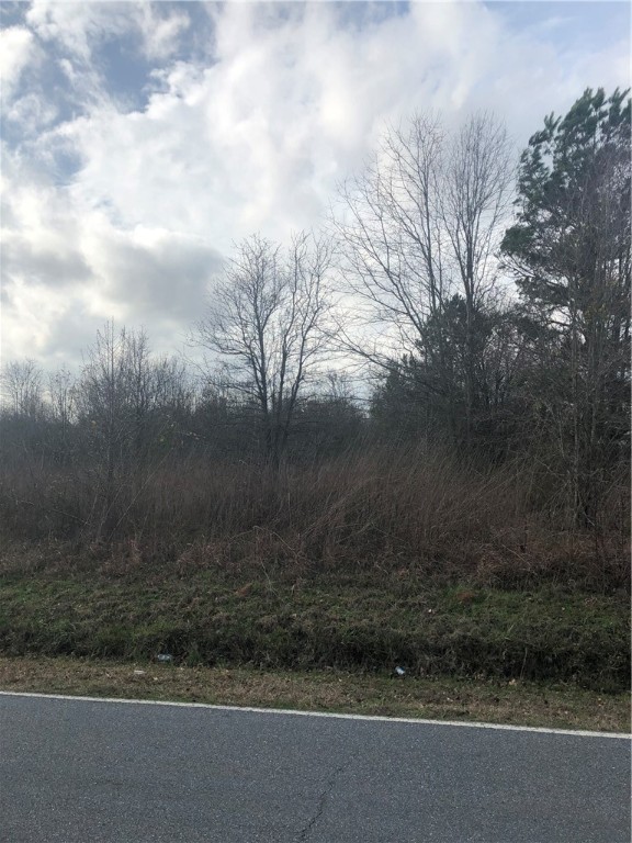 0 Clinkscales Road Anderson, SC 29624 - Photo 2 of 3