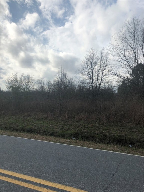 0 Clinkscales Road Anderson, SC 29624 - Photo 3 of 3