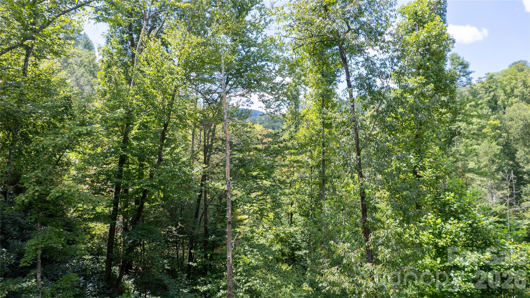 Tbd Tbd Collettsville Road, Unit 9 Lenoir, NC 28645 - Photo 11 of 29