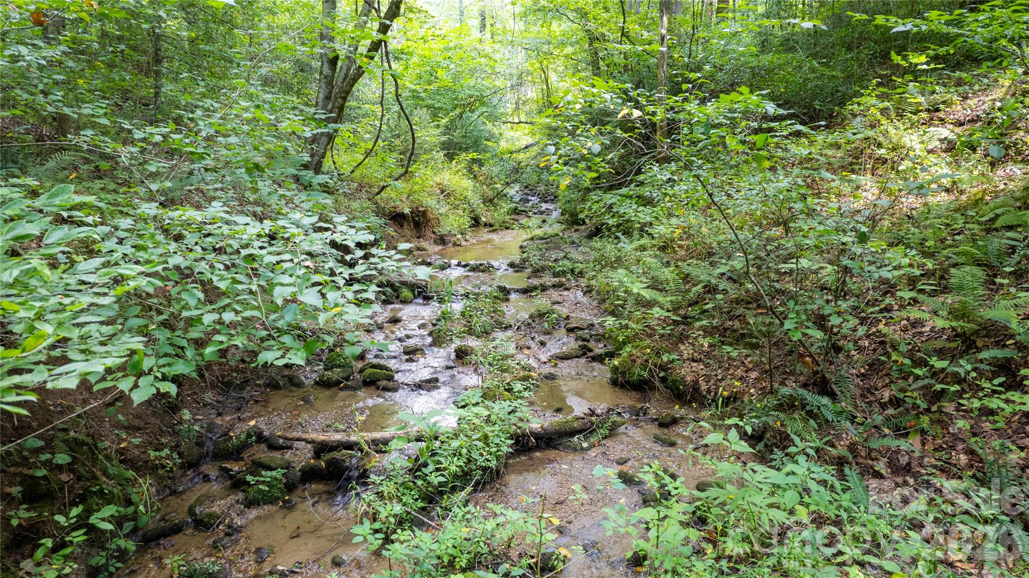 Tbd Tbd Collettsville Road, Unit 9 Lenoir, NC 28645 - Photo 4 of 29