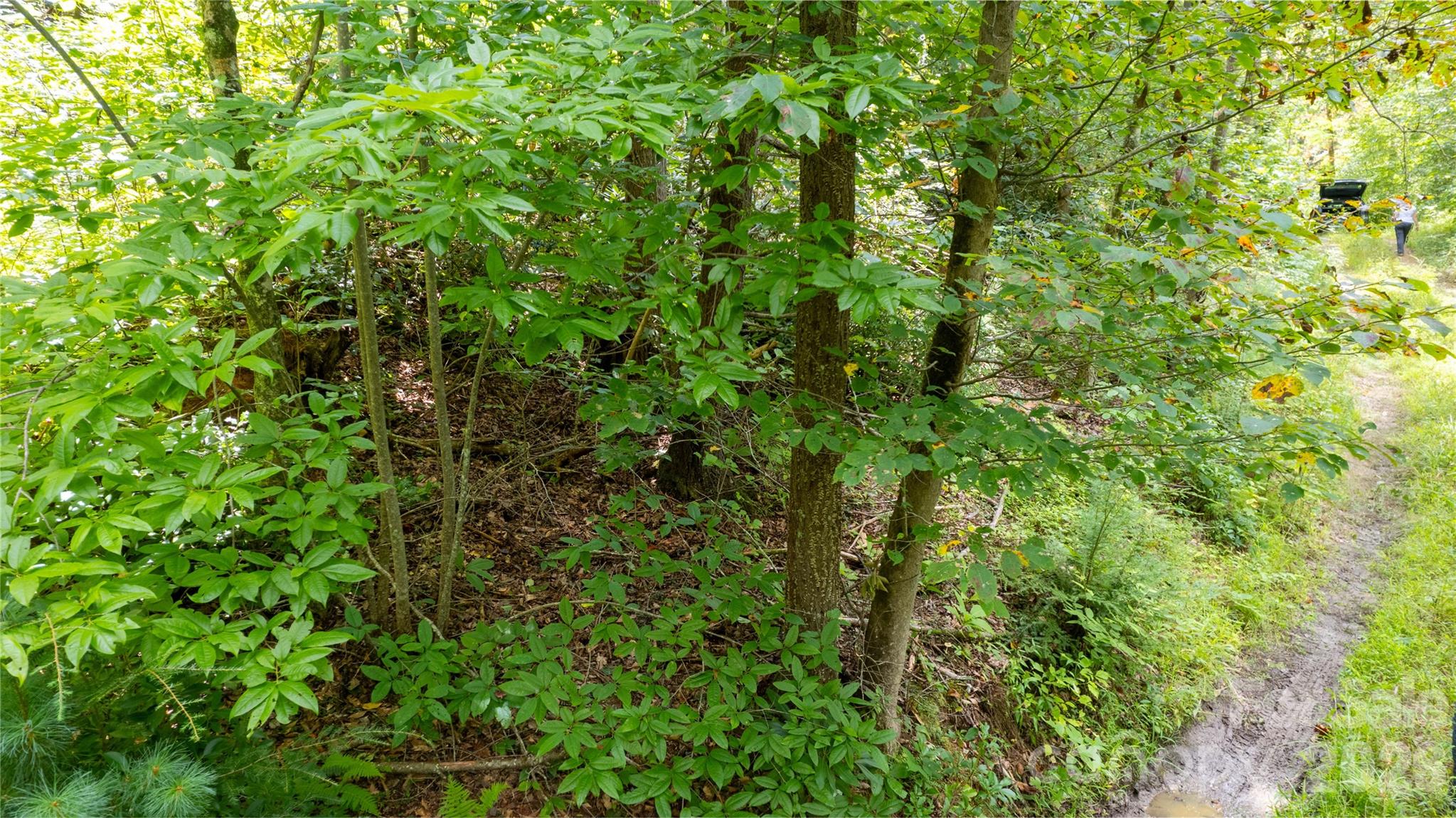 Tbd Tbd Collettsville Road, Unit 9 Lenoir, NC 28645 - Photo 5 of 29