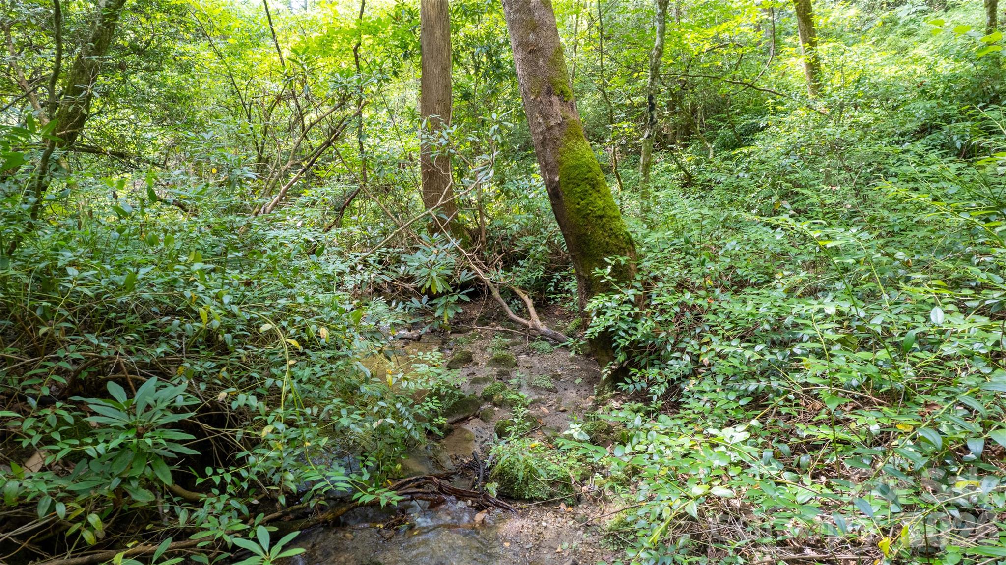 Tbd Tbd Collettsville Road, Unit 9 Lenoir, NC 28645 - Photo 8 of 29