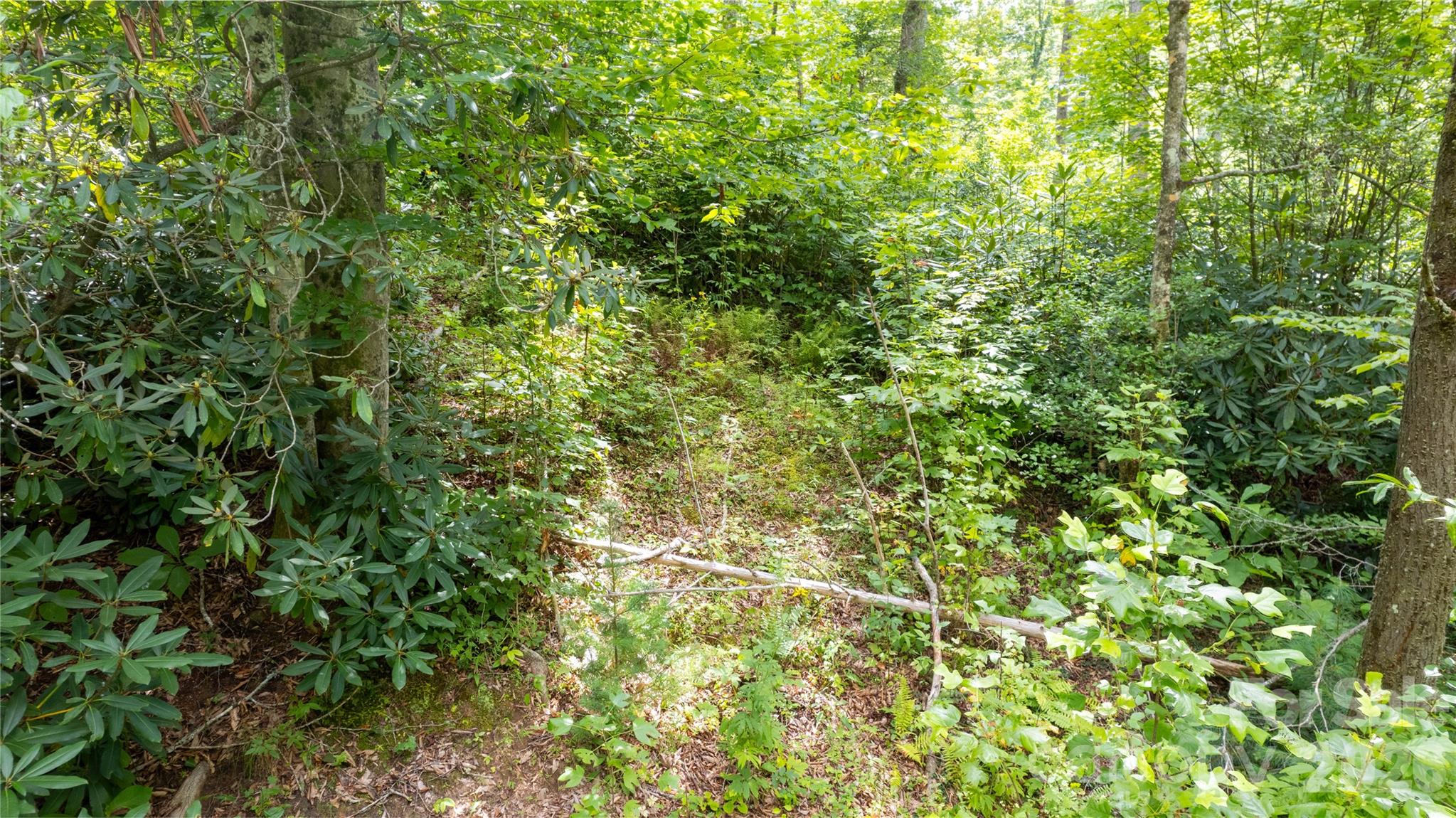 Tbd Tbd Collettsville Road, Unit 9 Lenoir, NC 28645 - Photo 9 of 29