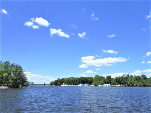 1896 Princess Pond Road Summerton, SC 29148 - Photo 1 of 35 Deep Water Cove Just Minutes to Big Wate