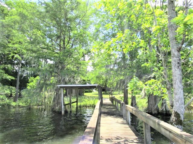 1896 Princess Pond Road Summerton, SC 29148 - Photo 3 of 35 Dock and Boat Cover