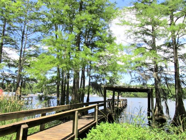 1896 Princess Pond Road Summerton, SC 29148 - Photo 31 of 35 Cove Full of Wildlife