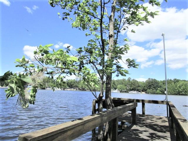 1896 Princess Pond Road Summerton, SC 29148 - Photo 32 of 35 Dock