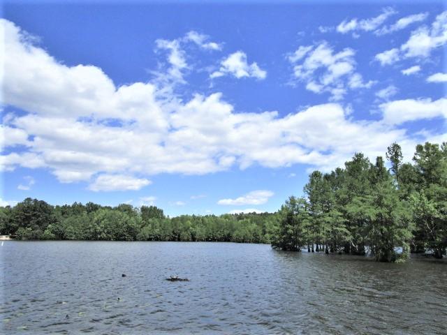 1896 Princess Pond Road Summerton, SC 29148 - Photo 33 of 35 Wildlife Refuge