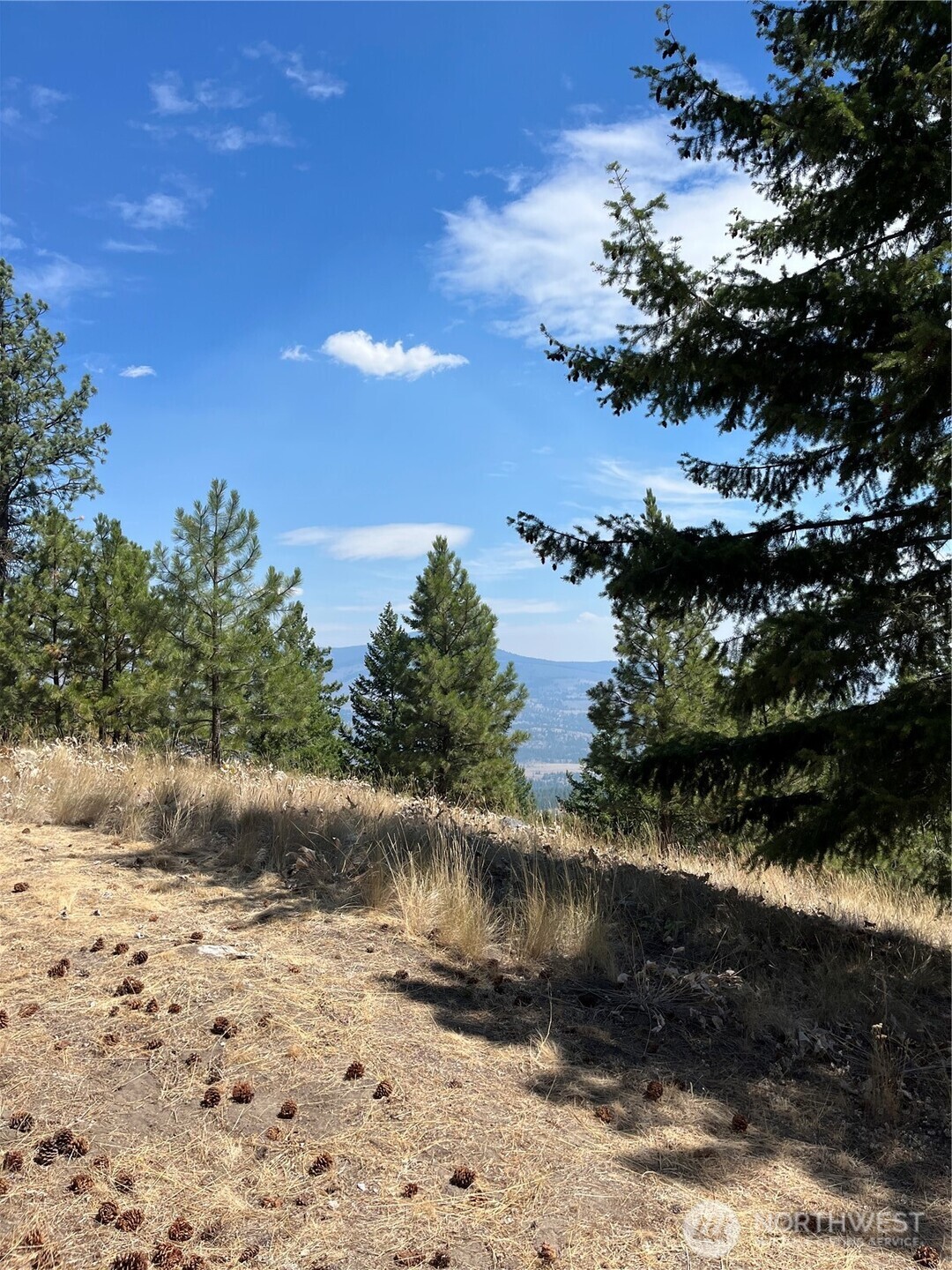 20 Doe Mountain Road Tonasket, WA 98855 - Photo 14 of 21 Gallery Image 14