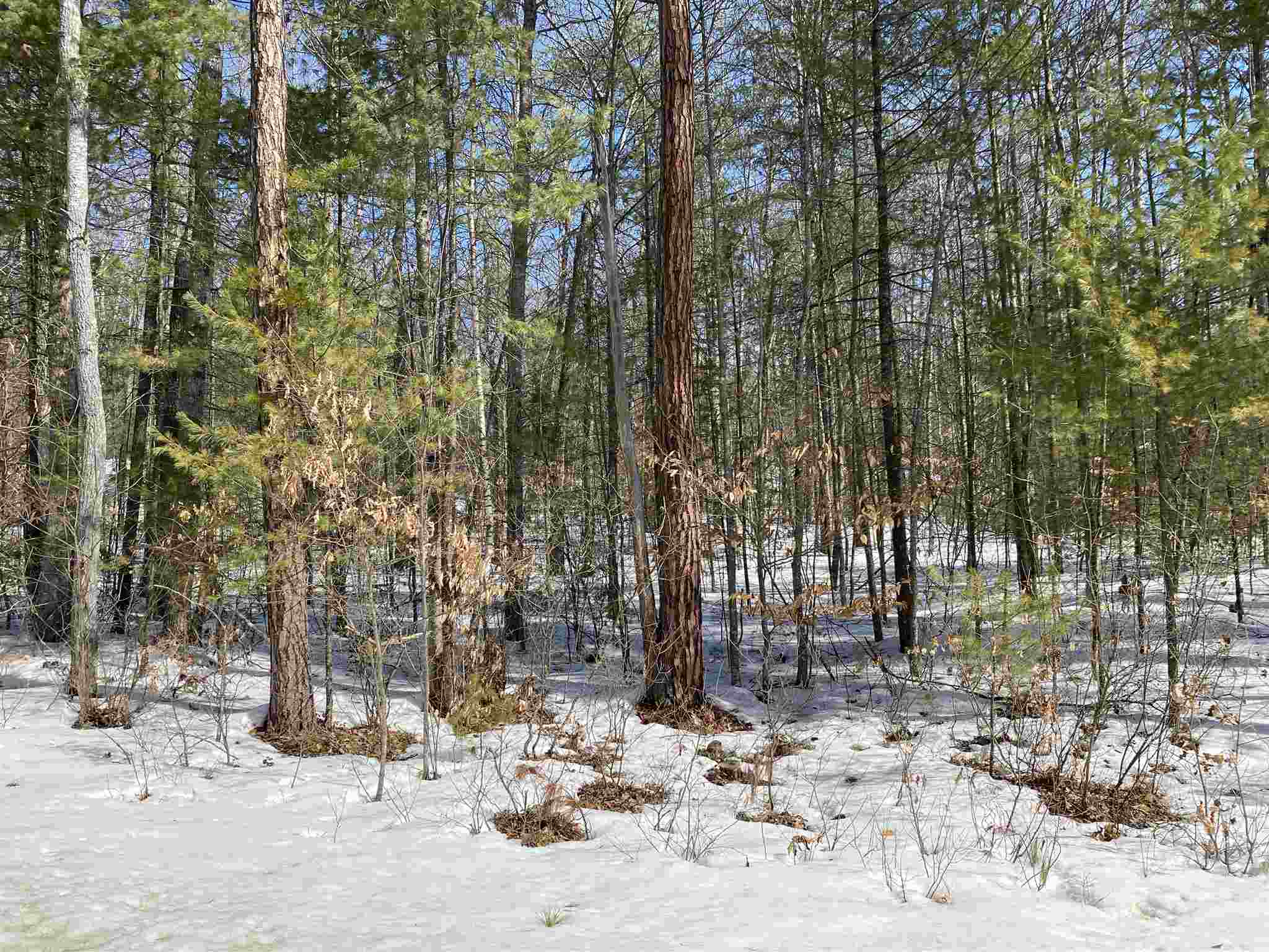 Old Stagecoach Road, Unit 47 Freedom, NH 03836 - Photo 1 of 4 Gallery Image 1