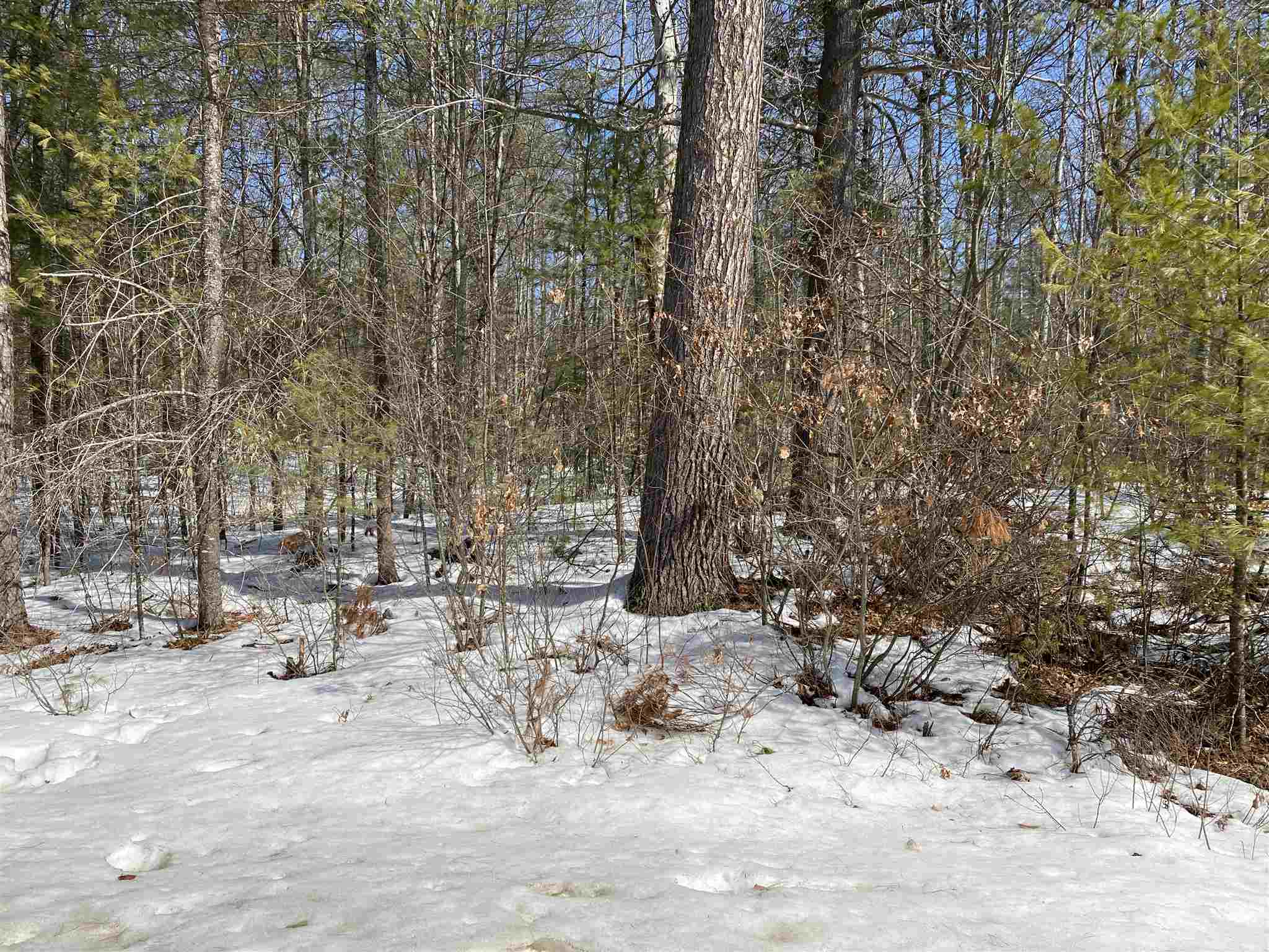 Old Stagecoach Road, Unit 47 Freedom, NH 03836 - Photo 2 of 4 Gallery Image 2