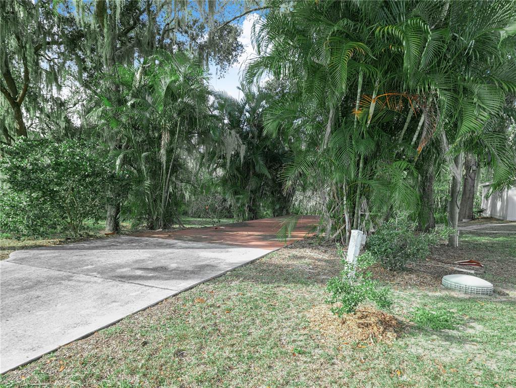 100 Reedy Creek Drive Frostproof, FL 33843 - Photo 32 of 36 a view of a yard with plants and trees