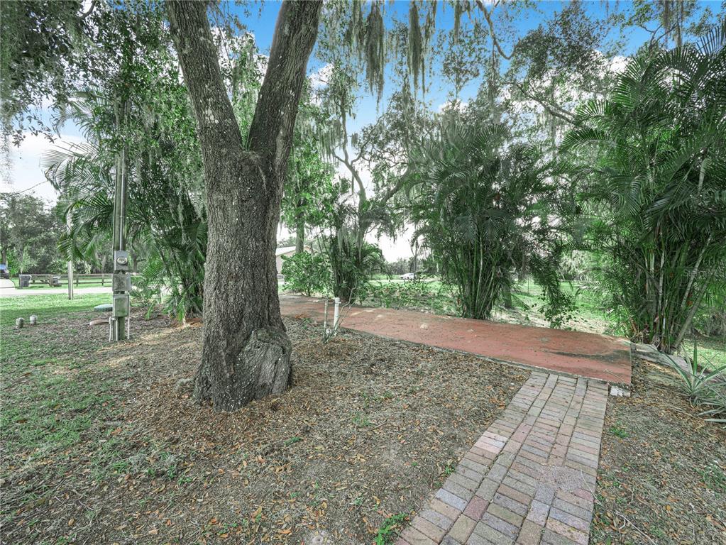 100 Reedy Creek Drive Frostproof, FL 33843 - Photo 33 of 36 a view of a yard with trees