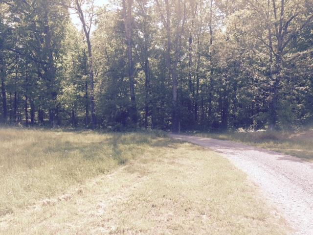 0 Mt Lebanon Road Charlotte, TN 37036 - Photo 1 of 2 Gallery Image 1