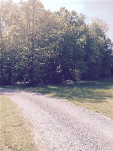 0 Mt Lebanon Road Charlotte, TN 37036 - Photo 2 of 2 Gallery Image 2