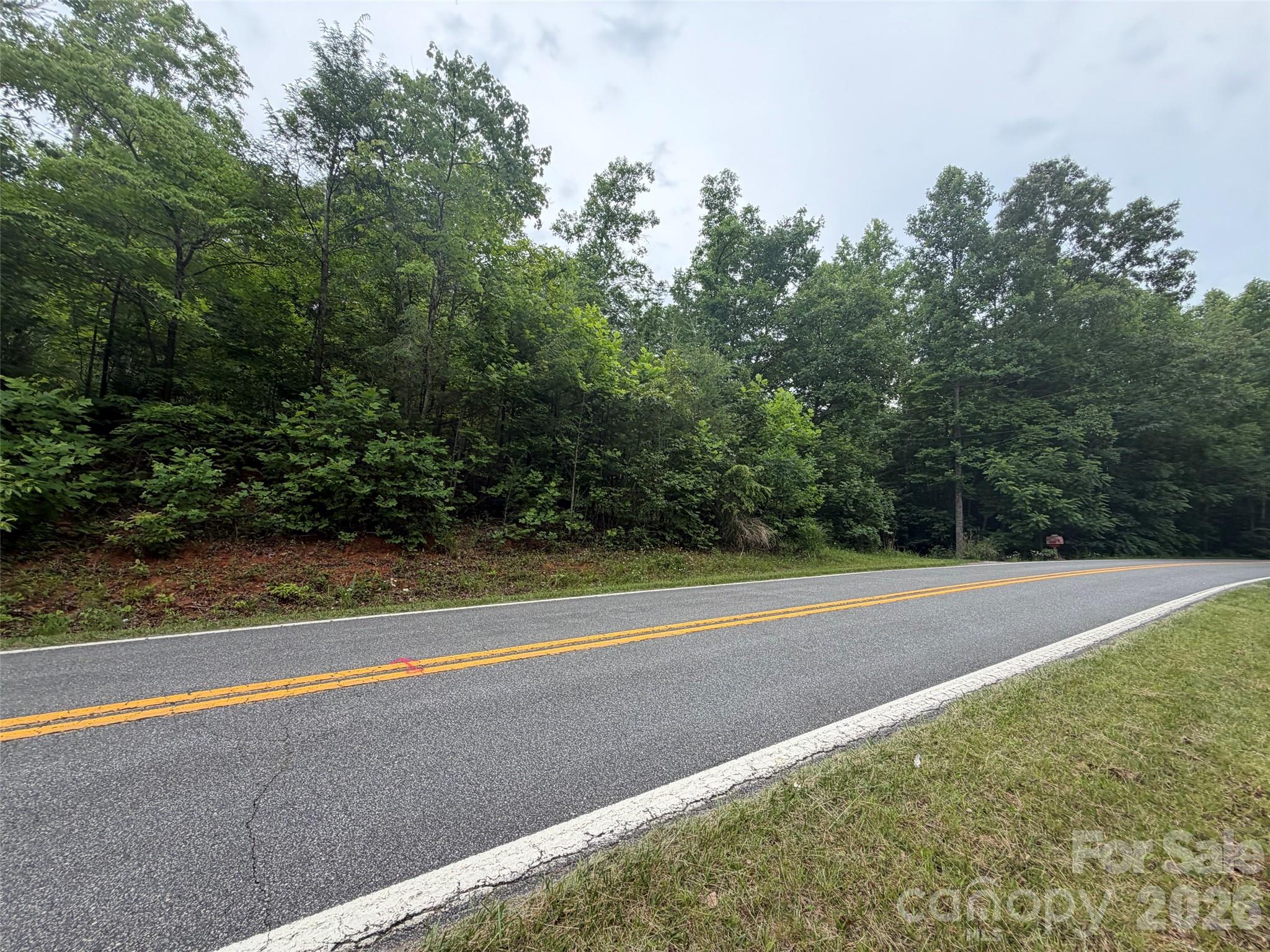 Lot 8 Parker Padgett Road Old Fort, NC 28762 - Photo 10 of 14