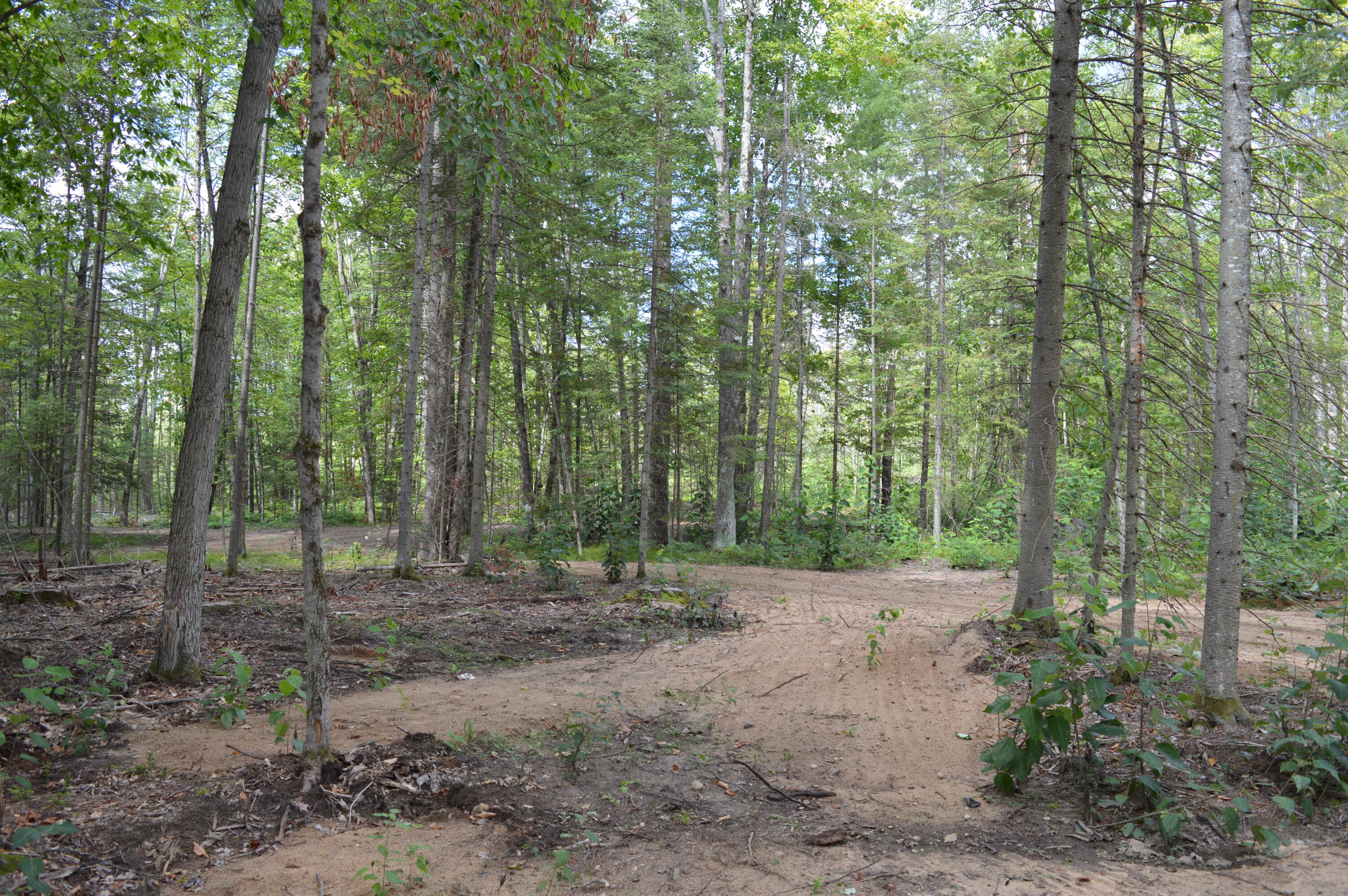 East County Line Road South Branch, MI 48761 - Photo 26 of 87 Gallery Image 26