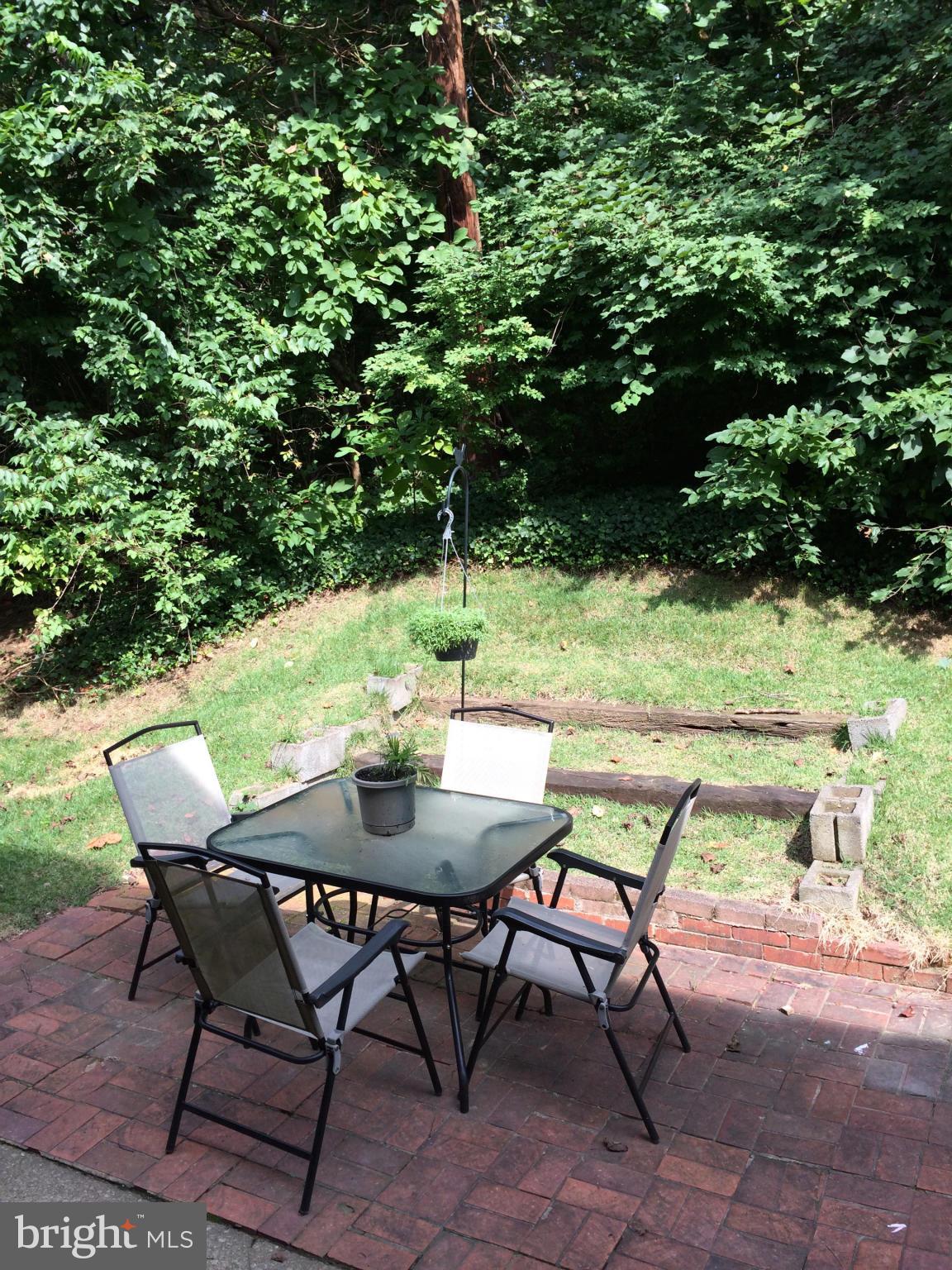 9035 Manchester Road Silver Spring, MD 20901 - Photo 12 of 13 Patio overlooking woods