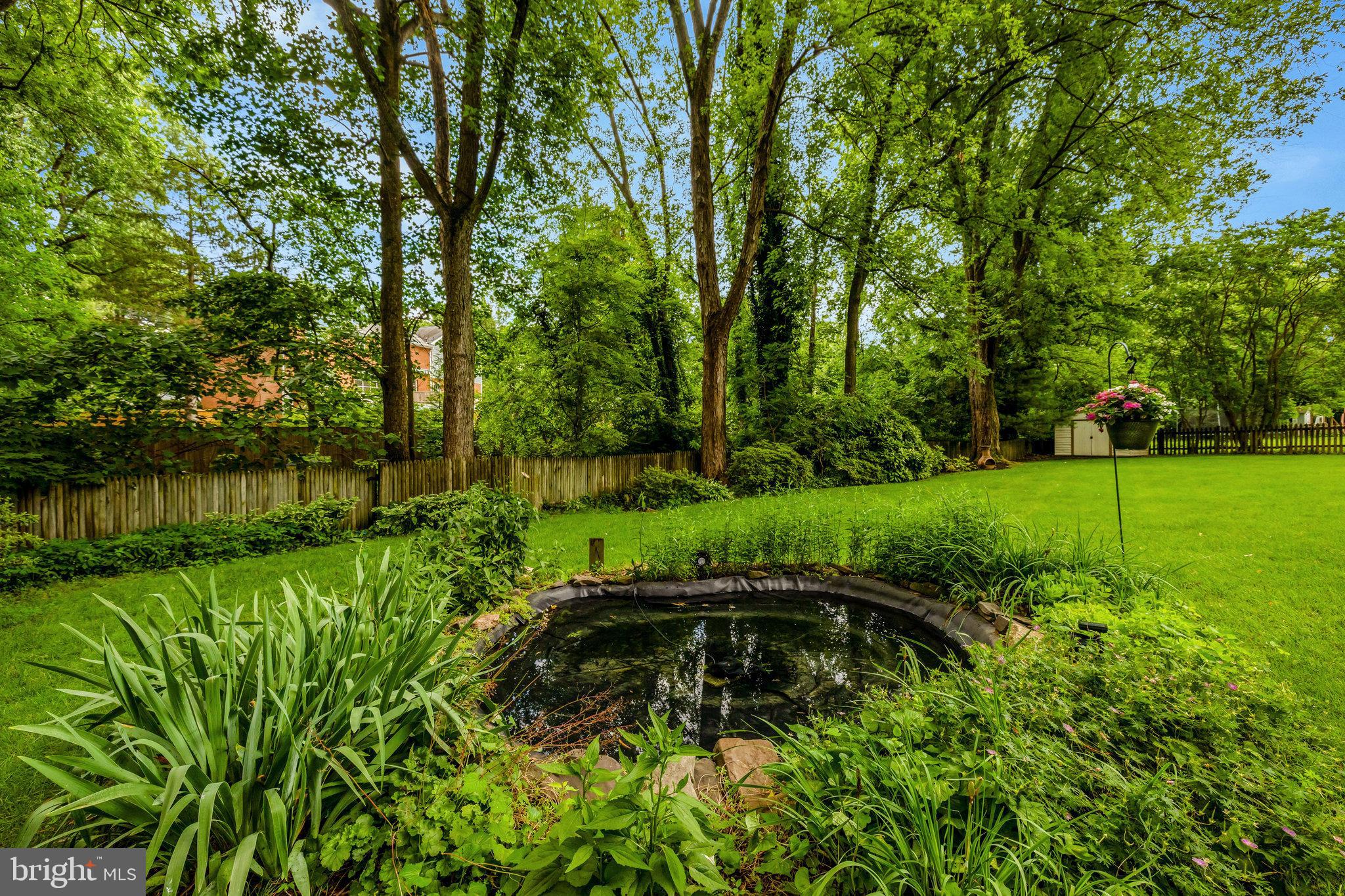 3819 Acosta Road Fairfax, VA 22031 - Photo 68 of 74 Back yard