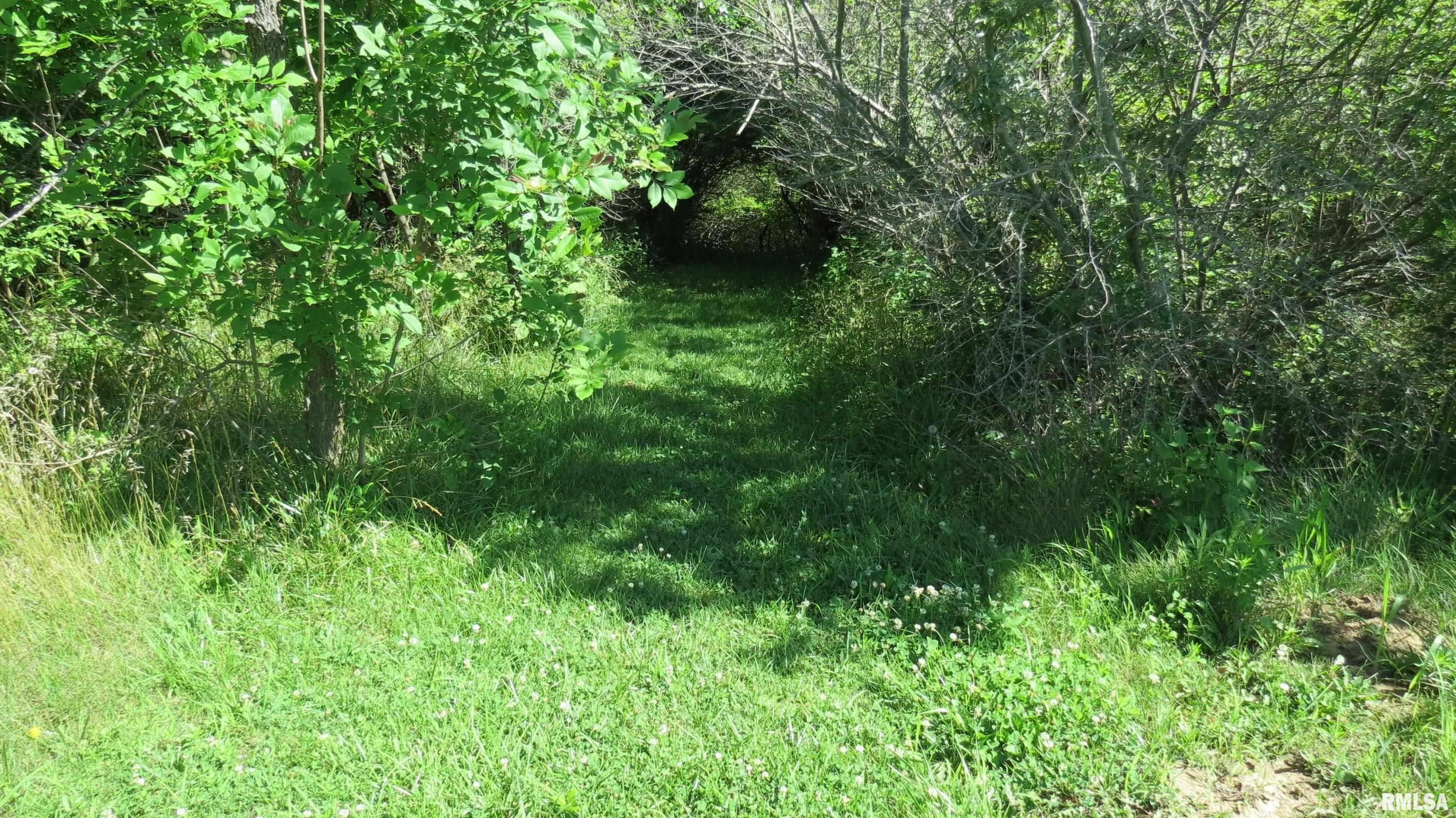 1230 Kathleen Road Du Quoin, IL 62832 - Photo 2 of 7